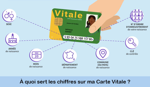 découvrez les dernières tendances et chiffres clés de l'assurance auto en novembre 2025 pour mieux comprendre le marché et faire le bon choix.