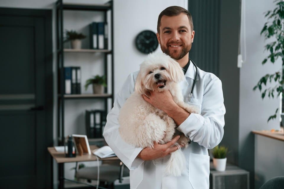 obtenez un devis personnalisé rapide pour votre assurance auto. comparez les offres et trouvez la meilleure couverture adaptée à vos besoins en quelques clics.